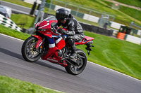 Lower Group Red Bikes